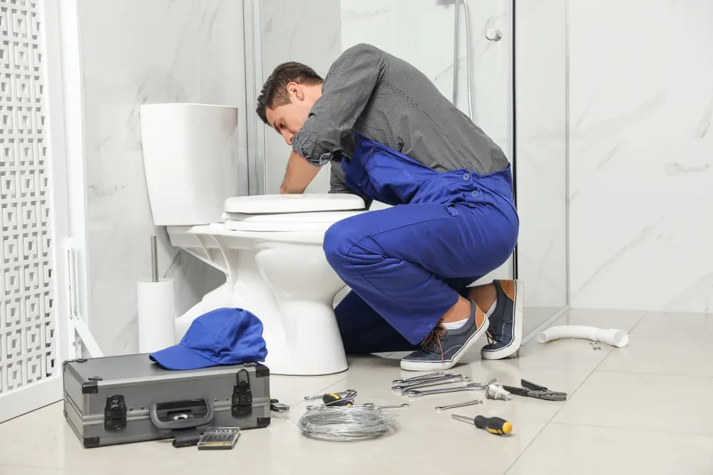 Toilet Repair in Cloud Lake